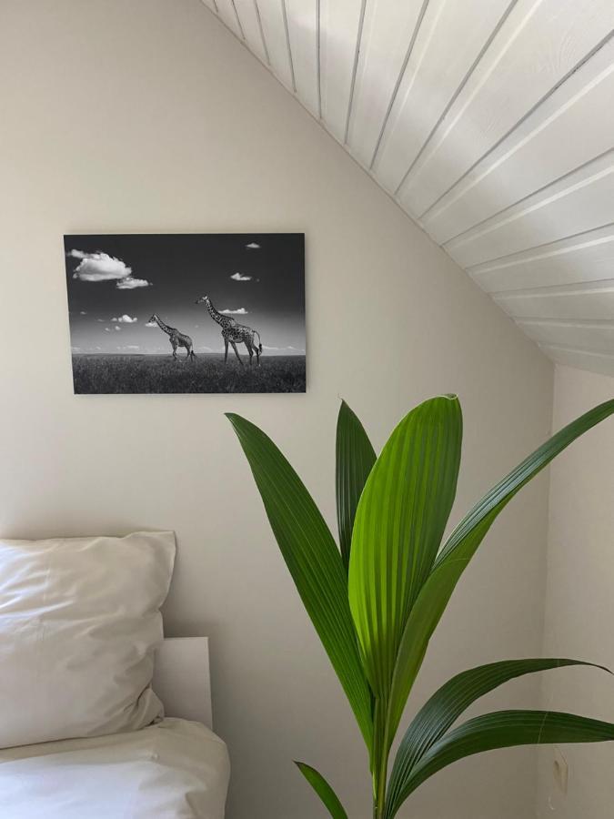 B&B Maison Blanche Ghent Luaran gambar